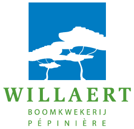 Willaert